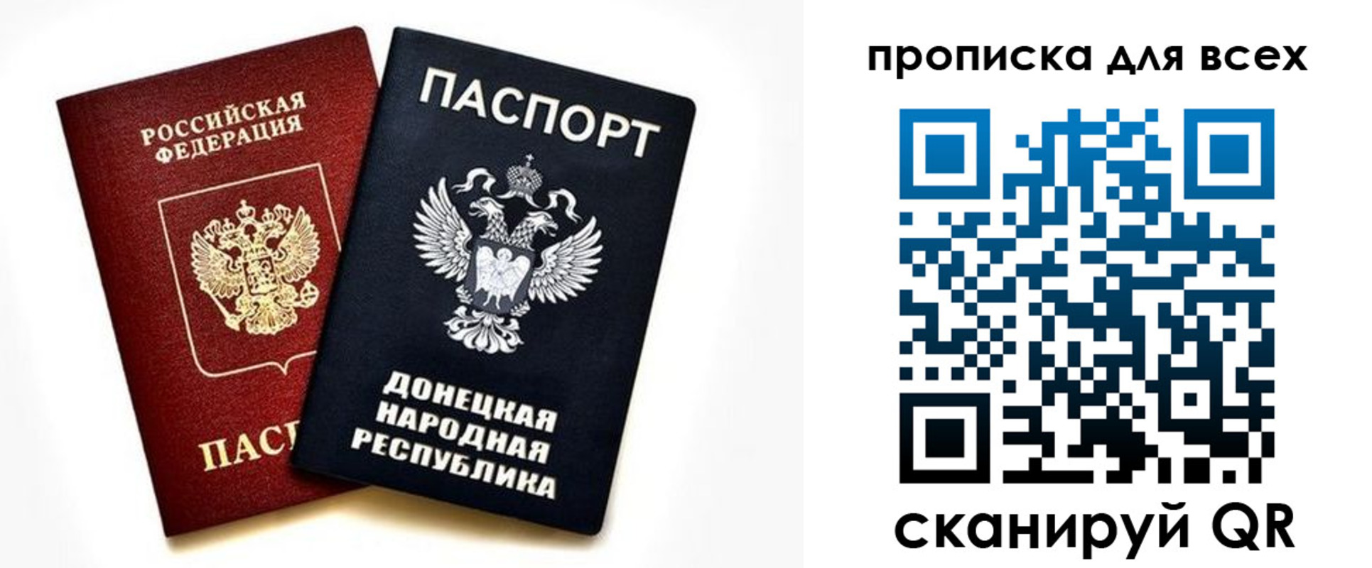 прописка гарантия в Ржеве